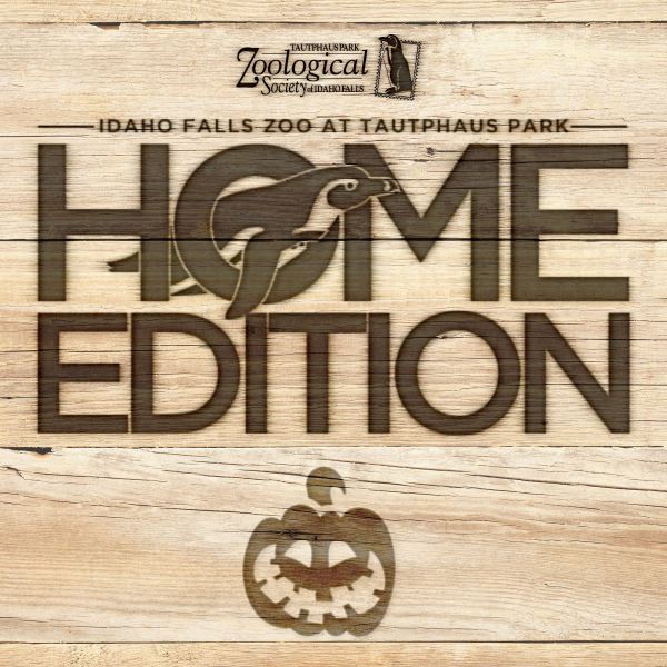 Oktoberfest Home Edition